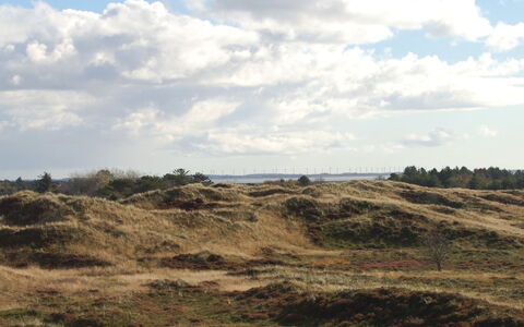 Inga - 1.3Km from the Sea: Himmel, Blau, Wolke, Vegetation, Wiese, Ökoregion, Horizont, Pflanzengemeinschaft, Braun, Wildnis