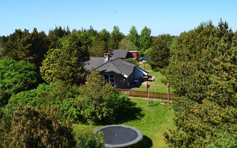 Botulf - 3.8Km from the Sea: Strauch, Garten, Rasen, Hütte, Landscaping, Garten, Hinterhof, Immergrün