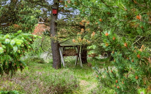 Bogatin - 1Km from the Sea: Natürlichen Umgebung, Vegetation, Strauch, Wald, Ground, Garten, Kofferraum, Naturschutzgebiet, Gehölz, Dschungel