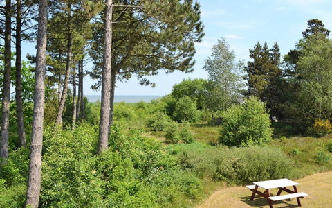 Volmer - 3.9Km from the Sea: Dach, Haus, Zuhause, Hütte, Tür, Abstellgleis, Estate, Rasen, Garten, Veranda