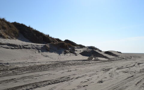 Elinora - 100M from the Sea: Natürlichen Umgebung, Sand, Ökoregion, Landschaft, Terrain, Geologie, Steigung
