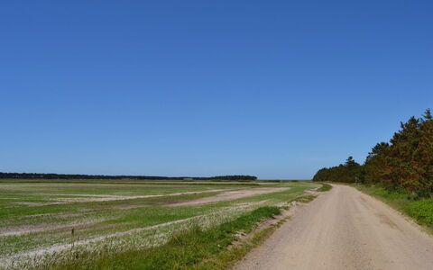 Almina - 1Km from the Sea: Strasse, Natürliche Landschaft, Horizont, Einfach, Wiese, Ökoregion, Feld, Grundstueck, Steppe