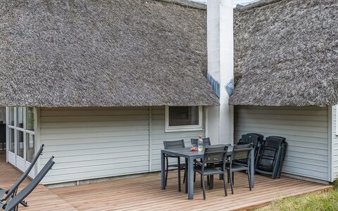 Almina - 1Km from the Sea: Pflanzengemeinschaft, Sonnenlicht, Krautige Pflanze, Garten, Plantage, Landwirtschaft, Bauernhof