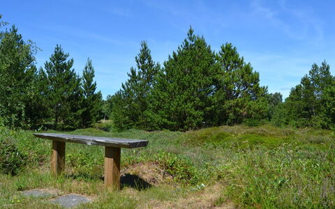 Redward - 1Km from the Sea: Gras, Grün, Blatt, Natürlichen Umgebung, Natur, Vegetation, Wiese, Strauch, Pflanzengemeinschaft, Ökoregion