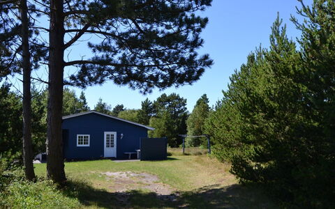 Redward - 1Km from the Sea: Gras, Grundstueck, Einfach, Wiese, Rasen, Hütte, Weide, Garten, Landscaping