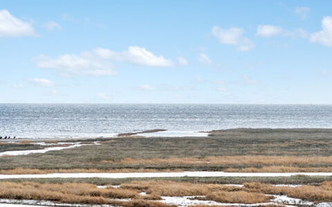 Langsom - 100M from the Sea: Blau, Wasser, Wasservorräte, Horizont, Ökoregion, Meer, Küsten Und Ozeanische Forms, Sumpf