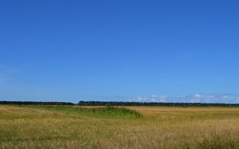 Anna - 1Km from the Sea: Schwimmbad, Ferienort