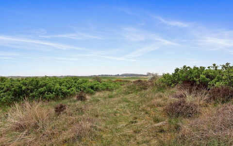 Reija - 2.3Km from the Sea: Himmel, Blau, Gras, Grün, Natürlichen Umgebung, Wiese, Vegetation, Ökoregion, Natürliche Landschaft, Pflanzengemeinschaft