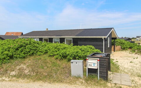 Kris - 200M from the Sea: Pflanzengemeinschaft, Sonnenlicht, Krautige Pflanze, Garten, Plantage, Landwirtschaft, Bauernhof