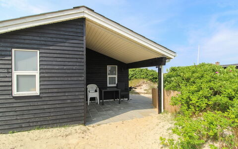 Kris - 200M from the Sea: Pflanzengemeinschaft, Sonnenlicht, Krautige Pflanze, Garten, Plantage, Landwirtschaft, Bauernhof