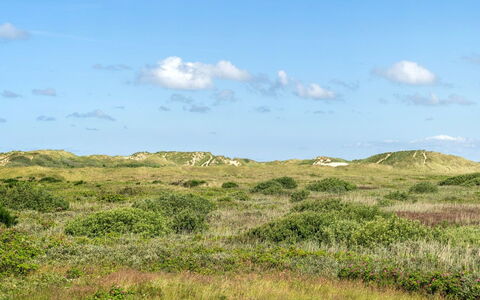 Ortwin - 300M from the Sea: Gras, Haus, Dach, Zuhause, Hütte, Strauch, Grundstueck, Ländliches Gebiet, Bauernhaus, Ground