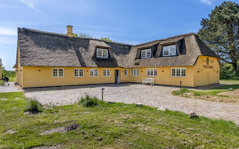 Narvik - 4.5Km from the Sea: Gebäude, Haus, Fenster, Zuhause, Dach, Wohngebiet, Strauch, Hütte, Grundstueck
