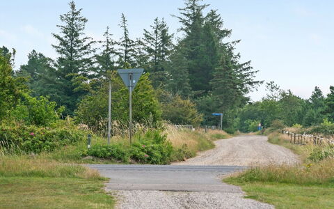 Gwen - 2.7Km from the Sea: Himmel, Baum, Gras, Blatt, Strasse, Strassenbelag, Vegetation, Natürliche Landschaft, Strauch