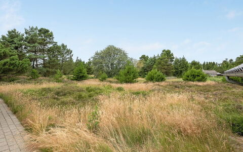 Torbjörn - 1.1Km from the Sea: Gras, Haus, Dach, Zuhause, Hütte, Strauch, Grundstueck, Ländliches Gebiet, Bauernhaus, Ground