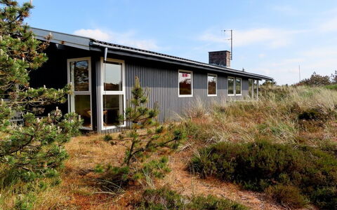 Elsa - 700M from the Sea: Pflanzengemeinschaft, Sonnenlicht, Krautige Pflanze, Garten, Plantage, Landwirtschaft, Bauernhof