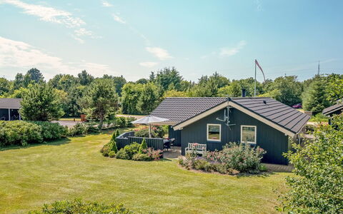 Maureen - 10.5Km from the Sea: Pflanzengemeinschaft, Sonnenlicht, Krautige Pflanze, Garten, Plantage, Landwirtschaft, Bauernhof