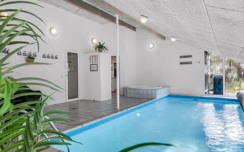 Jensen - 700M to the Fjord: Decke, Schwimmbad, Design, Hotel, Daylighting, Resort, Aluminium, Zimmerpflanze, Eco Hotel, Villa