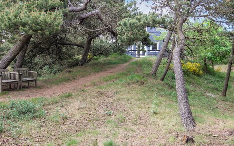 Kanutte - 400M from the Sea: Ast, Vegetation, Pflanzengemeinschaft, Grundstueck, Kofferraum, Gehölz, Boden, Weg, Shrubland