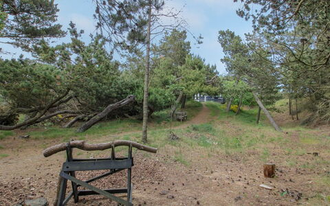 Kanutte - 400M from the Sea: Baum, Holz, Pflanzengemeinschaft, Kofferraum, Boden, Gehölz, Wald, Weg