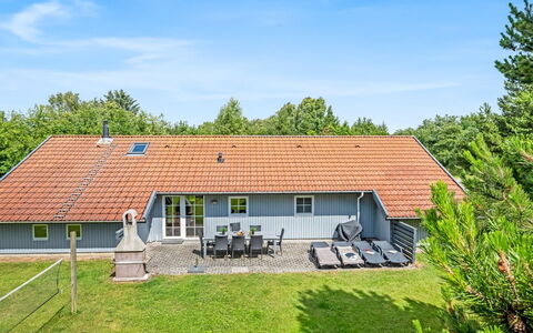 Gunvald - 2Km to the Fjord: Pflanzengemeinschaft, Sonnenlicht, Krautige Pflanze, Garten, Plantage, Landwirtschaft, Bauernhof
