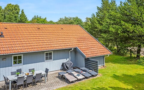 Gunvald - 2Km to the Fjord: Pflanzengemeinschaft, Sonnenlicht, Krautige Pflanze, Garten, Plantage, Landwirtschaft, Bauernhof