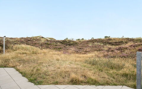 Tennie - 300M from the Sea: Gras, Ökoregion, Wiese, Pflanzengemeinschaft, Braun, Grundstueck, Shrubland, Steppe, Prärie, Chaparral