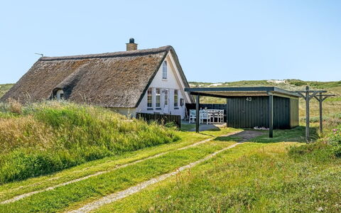 Klimentina - 150M from the Sea: Pflanzengemeinschaft, Sonnenlicht, Krautige Pflanze, Garten, Plantage, Landwirtschaft, Bauernhof
