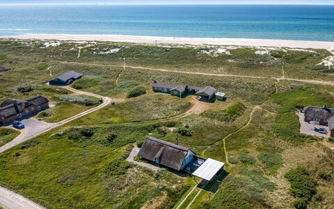 Klimentina - 150M from the Sea: Pflanzengemeinschaft, Sonnenlicht, Krautige Pflanze, Garten, Plantage, Landwirtschaft, Bauernhof