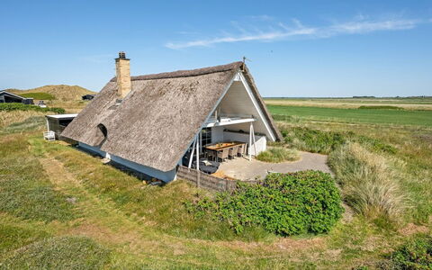 Klimentina - 150M from the Sea: Pflanzengemeinschaft, Sonnenlicht, Krautige Pflanze, Garten, Plantage, Landwirtschaft, Bauernhof