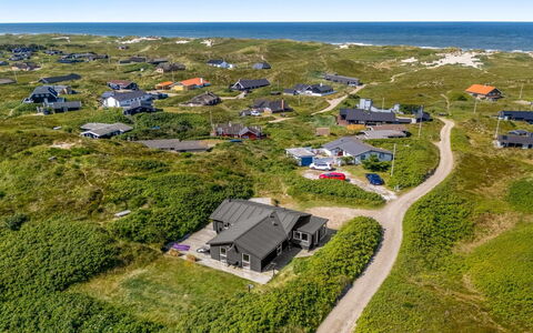 Talia - from the Sea: Pflanzengemeinschaft, Sonnenlicht, Krautige Pflanze, Garten, Plantage, Landwirtschaft, Bauernhof