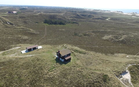 Swanja - from the Sea: Gras, Wiese, Ökoregion, Einfach, Landschaft, Grundstueck, Ländliches Gebiet, Terrain, Steppe, Prärie