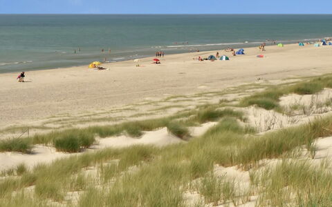 Holte - 700M to the Fjord: Natürlichen Umgebung, Strand, Küste, Sand, Ökoregion, Sommer, Meer, Ufer, Küsten Und Ozeanische Forms, Ozean