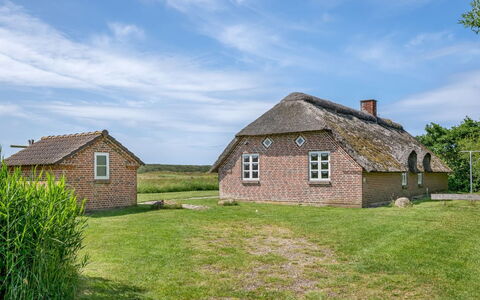 Vangja - 700M to the Fjord: Gras, Haus, Dach, Zuhause, Hütte, Strauch, Grundstueck, Ländliches Gebiet, Bauernhaus, Ground