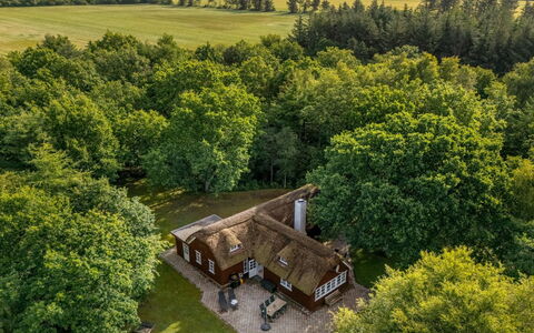 Fina - 15Km from the Sea: Hütte, Zuhause, Haus, Dach, Veranda, Estate, Abstellgleis, Gartenbauten, Bauernhaus, Garten