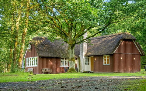 Fina - 15Km from the Sea: Hütte, Zuhause, Haus, Dach, Veranda, Estate, Abstellgleis, Gartenbauten, Bauernhaus, Garten