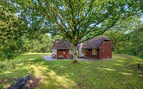 Fina - 15Km from the Sea: Hütte, Zuhause, Haus, Dach, Veranda, Estate, Abstellgleis, Gartenbauten, Bauernhaus, Garten