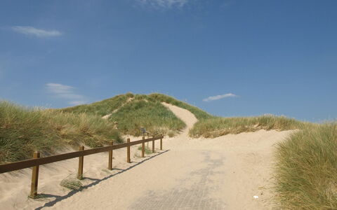 Agga - 200M from the Sea: Ökoregion, Landschaft, Weg, Sand, Steigung, Walkway, Boden
