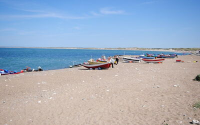 Suki - 650M from the Sea