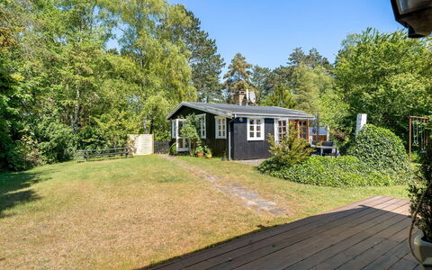 Carly - 100M from the Sea: Gras, Haus, Dach, Zuhause, Hütte, Strauch, Grundstueck, Ländliches Gebiet, Bauernhaus, Ground