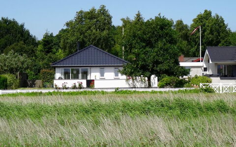 Mayla - 50M from the Sea: Pflanzengemeinschaft, Sonnenlicht, Krautige Pflanze, Garten, Plantage, Landwirtschaft, Bauernhof