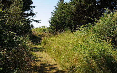 Kalv - 75M from the Sea: Wohngebiet, Dach, Vorort, Auffahrt, Estate, Kamin