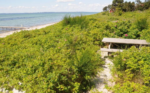Kalv - 75M from the Sea: Wohngebiet, Dach, Vorort, Auffahrt, Estate, Kamin
