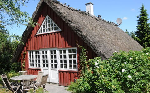 Kalv - 75M from the Sea: Wohngebiet, Dach, Vorort, Auffahrt, Estate, Kamin