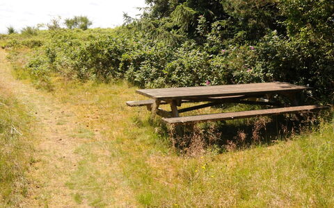 Kalv - 75M from the Sea: Wohngebiet, Dach, Vorort, Auffahrt, Estate, Kamin