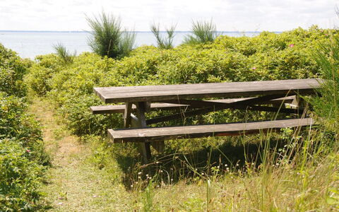 Kalv - 75M from the Sea: Wohngebiet, Dach, Vorort, Auffahrt, Estate, Kamin
