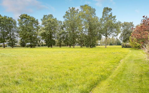 Armund - 300M from the Sea: Pflanzengemeinschaft, Sonnenlicht, Krautige Pflanze, Garten, Plantage, Landwirtschaft, Bauernhof