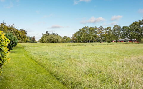 Armund - 300M from the Sea: Pflanzengemeinschaft, Sonnenlicht, Krautige Pflanze, Garten, Plantage, Landwirtschaft, Bauernhof