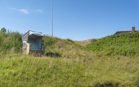 Mattias - 100M from the Sea: Gras, Wiese, Landschaft, Ökoregion, Einfach, Pflanzengemeinschaft, Grundstueck, Gartenmöbel, Prärie, Shrubland