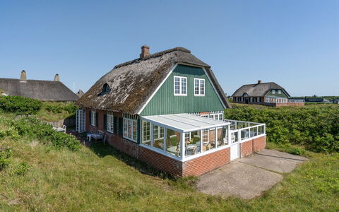 Mattias - 100M from the Sea: Gras, Wiese, Landschaft, Ökoregion, Einfach, Pflanzengemeinschaft, Grundstueck, Gartenmöbel, Prärie, Shrubland