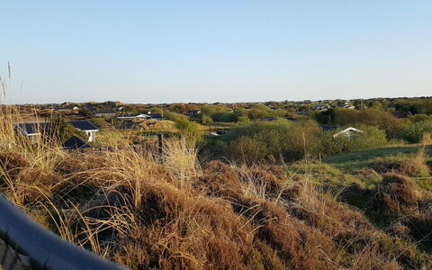 Gudrid - 500M from the Sea: Himmel, Blau, Vegetation, Ökoregion, Pflanzengemeinschaft, Wiese, Shrubland, Sonnenlicht, Prärie